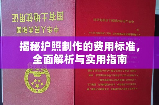 吉木乃揭秘护照制作的费用标准，全面解析与实用指南