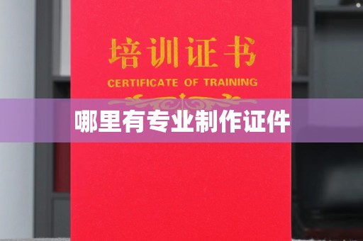 吉木乃哪里有专业制作证件