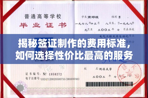 吉木乃揭秘签证制作的费用标准，如何选择性价比最高的服务？