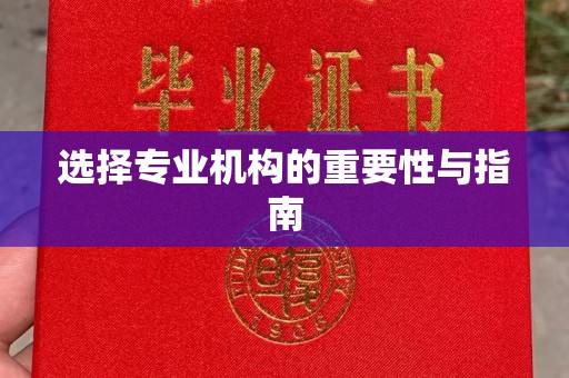 吉木乃选择专业机构的重要性与指南