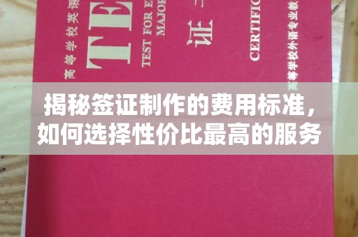 吉木乃揭秘签证制作的费用标准，如何选择性价比最高的服务？