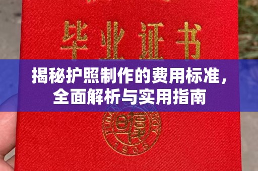 吉木乃揭秘护照制作的费用标准，全面解析与实用指南