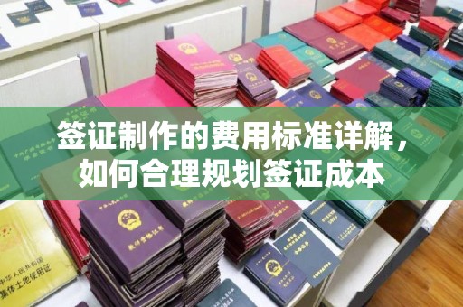吉木乃签证制作的费用标准详解，如何合理规划签证成本